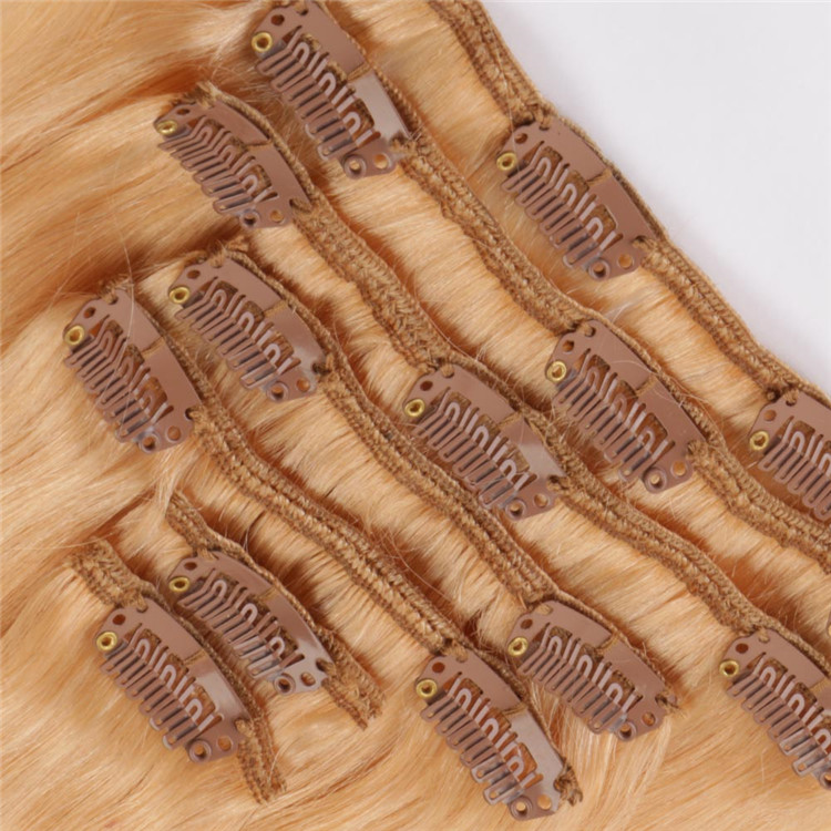 China clip in human hair extensions factory QM101